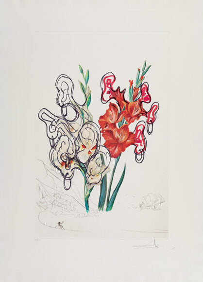 Salvador Dalí 'Gladiolus Cum Aurium Corymbo Expectantium'