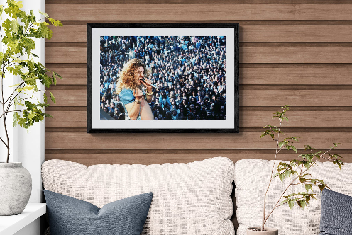 James Fortune: Robert Plant at Kezar-The Darkroom Society