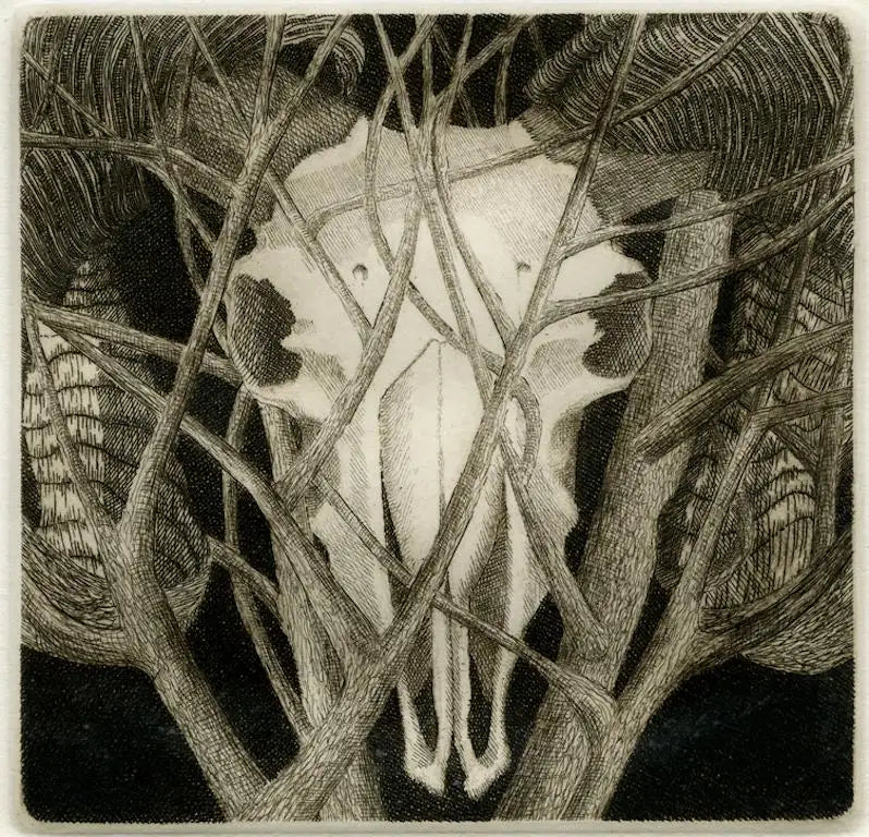 Elizabeth Quandt 'Aries IV' Limited Edition, Signed Etching of Ram's Head