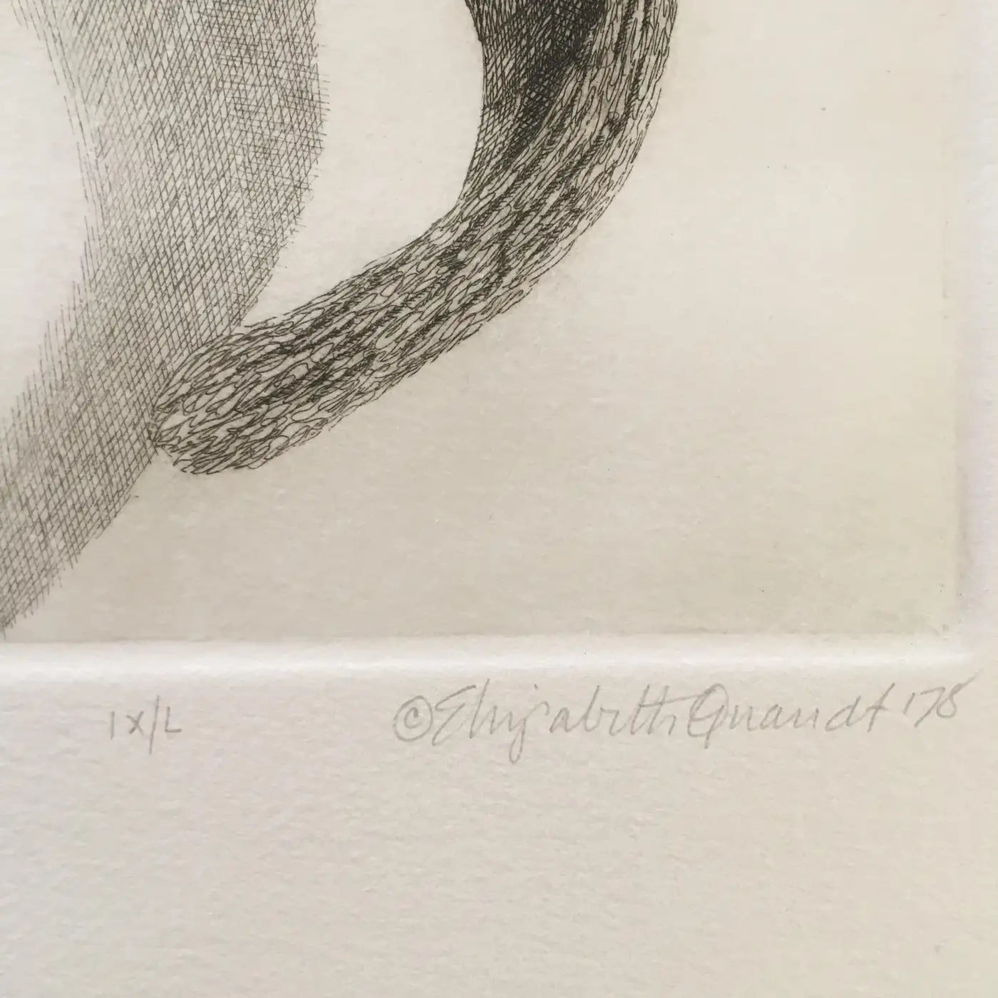 Elizabeth Quandt 'Aries III' Limited Edition, Signed Etching of Ram's Head