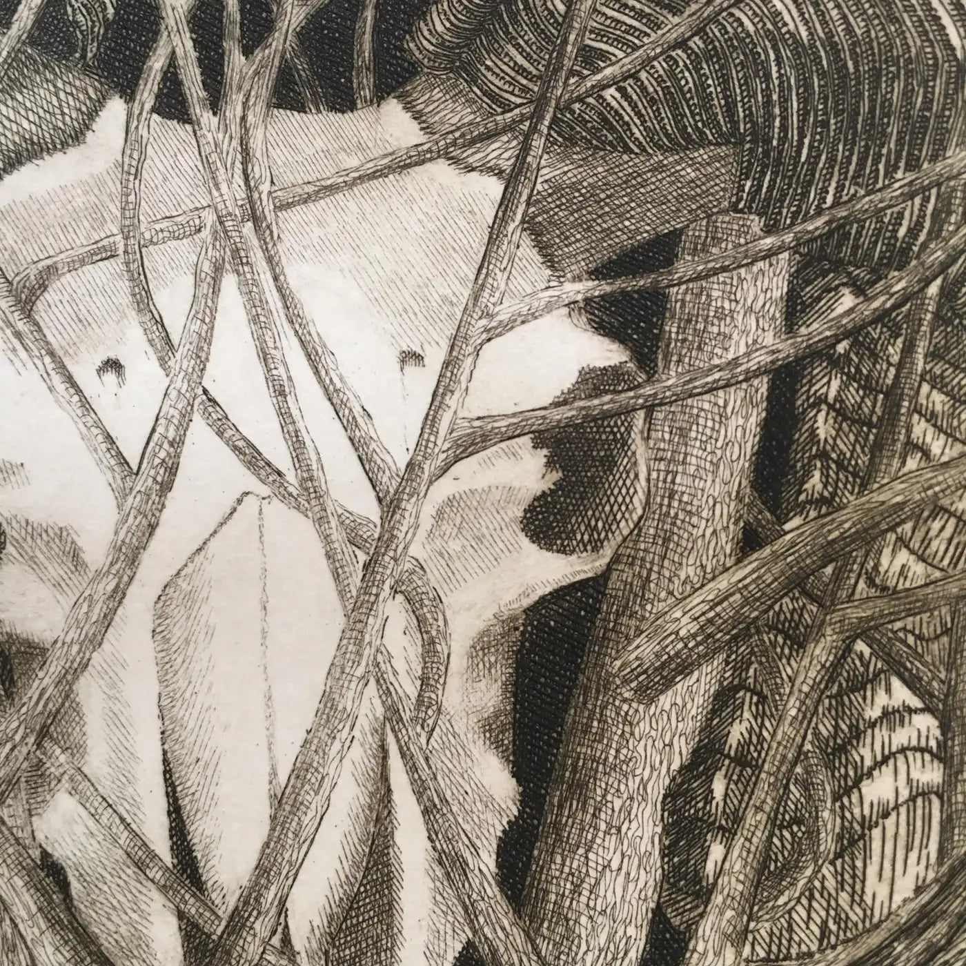 Elizabeth Quandt 'Aries IV' Limited Edition, Signed Etching of Ram's Head