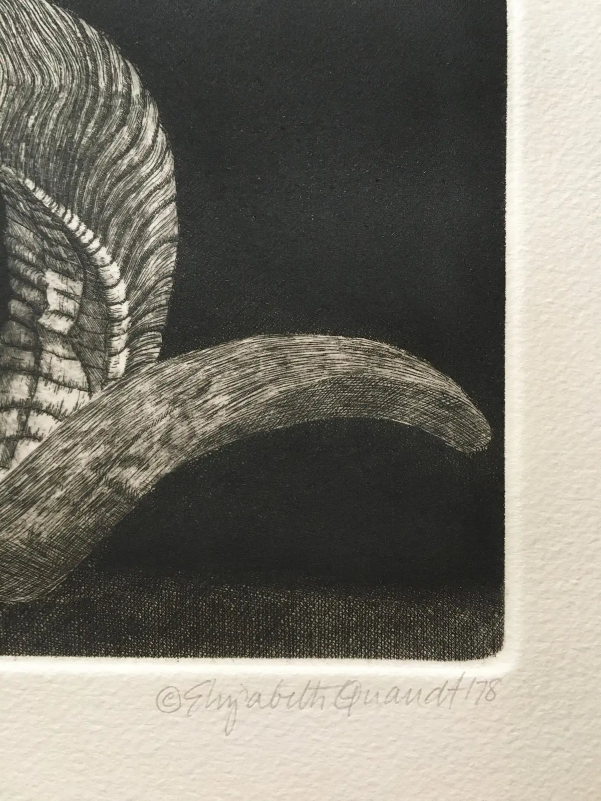 Elizabeth Quandt 'Aries I' Limited Edition, Signed Etching of Ram's Head